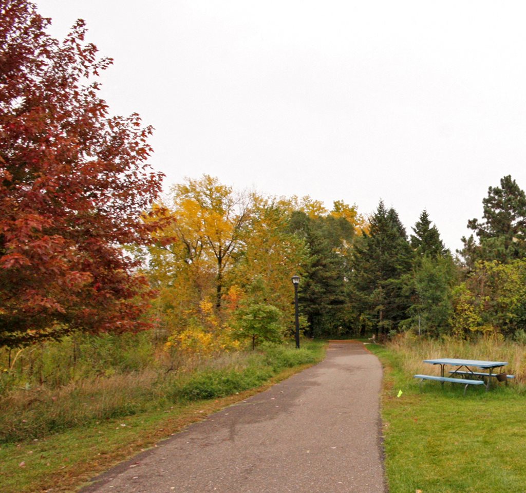 Photos and Video of Kingsley Commons in Minneapolis, MN